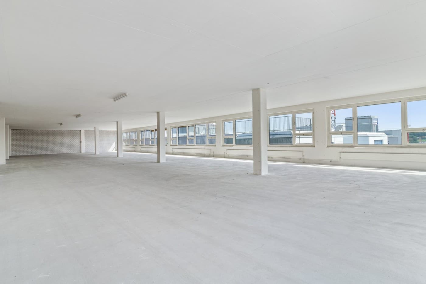 Office Rütisbergstrasse 12