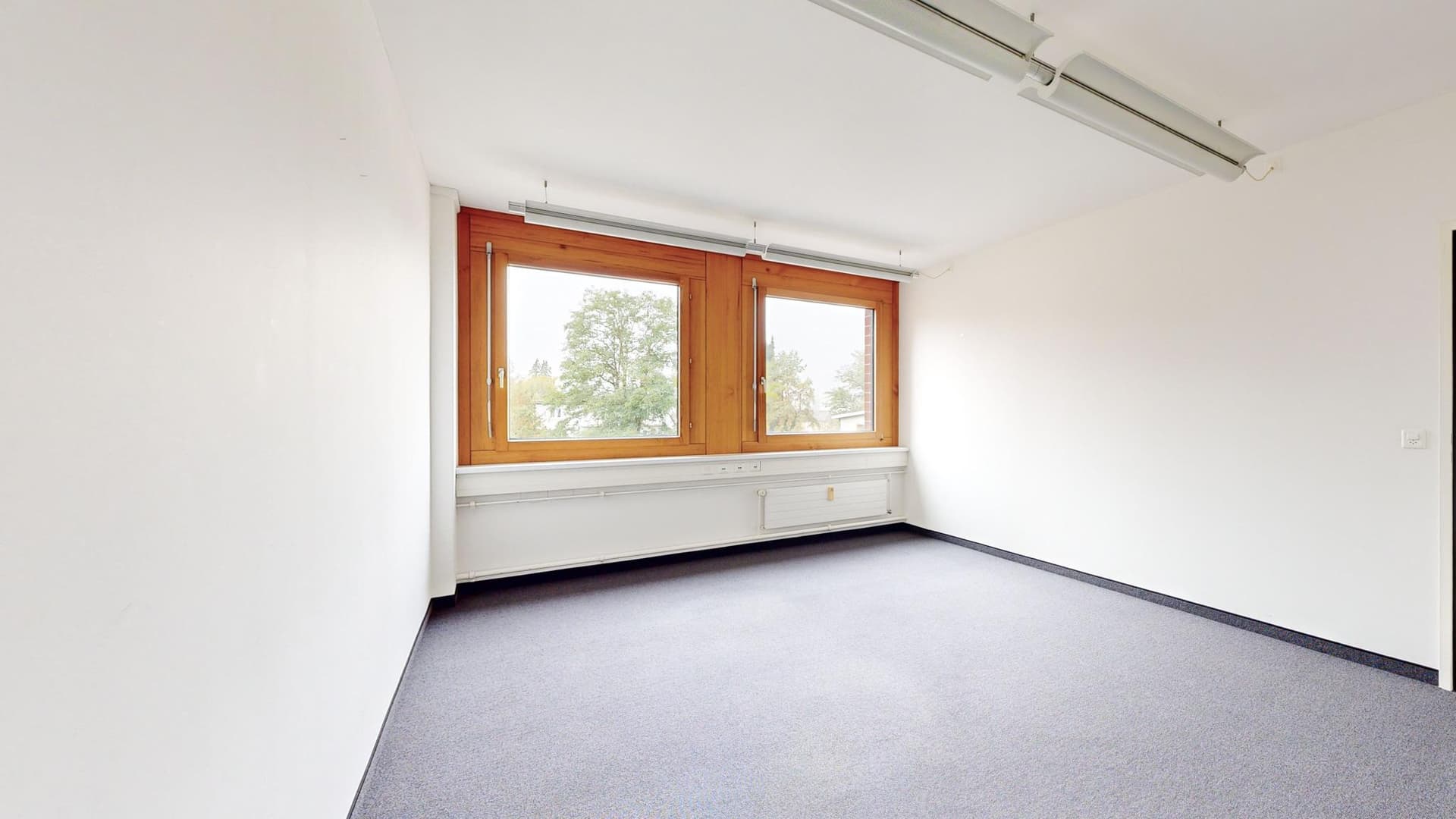 Office Löwenstrasse 16