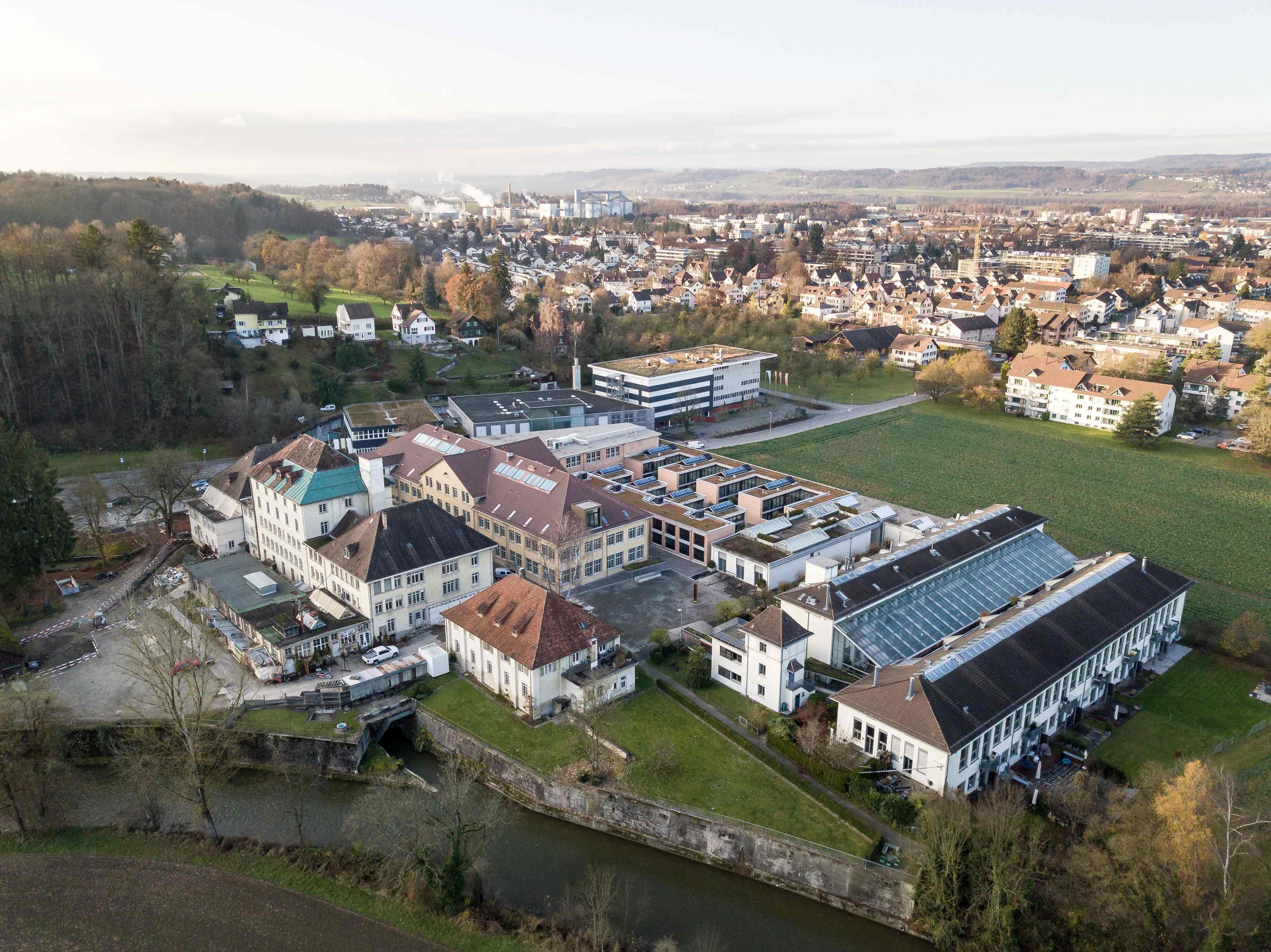 Walzmühlenstrasse 51