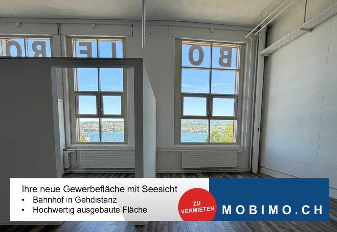 Office Seestrasse 91