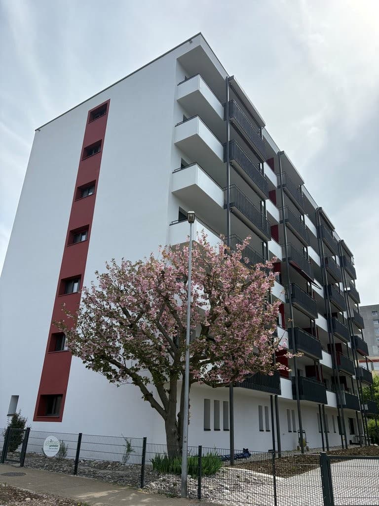 Office St. Jakobstr. 77