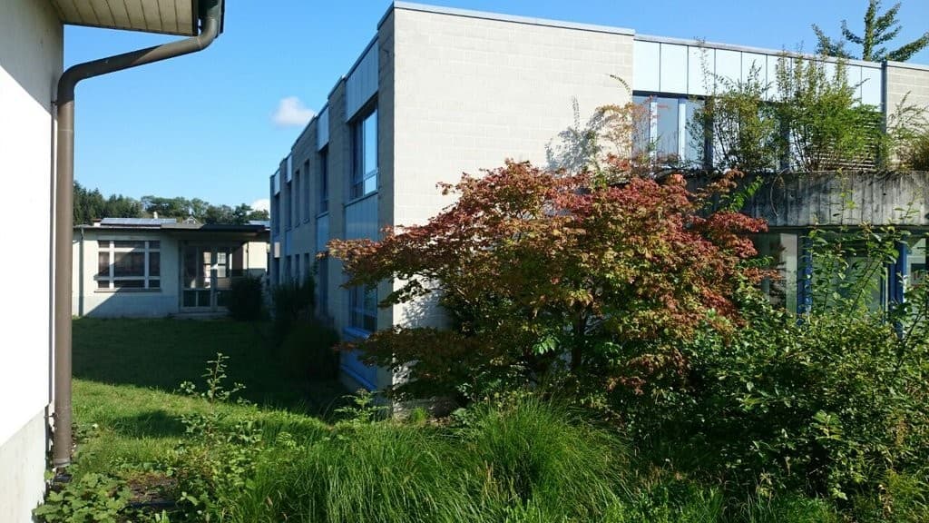 Office Rheinstrasse 74