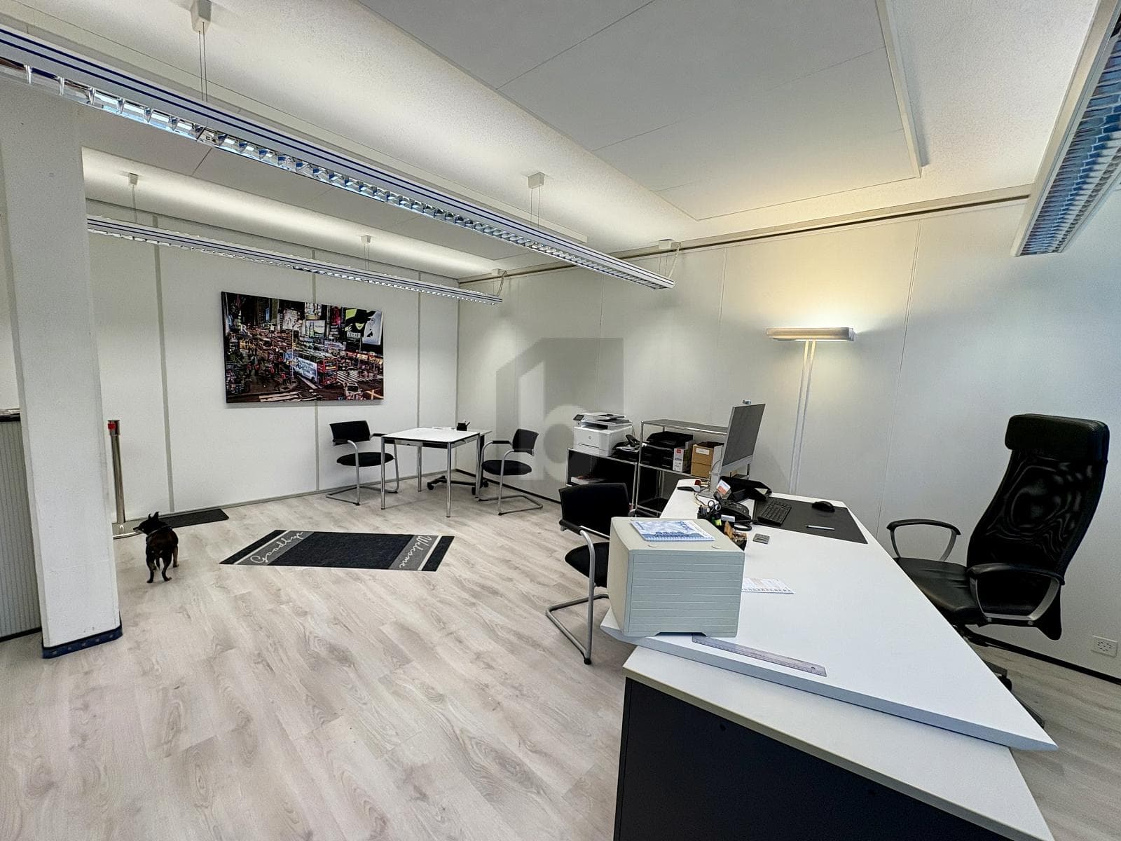Büro in 8808 Pfäffikon SZ, 35m²