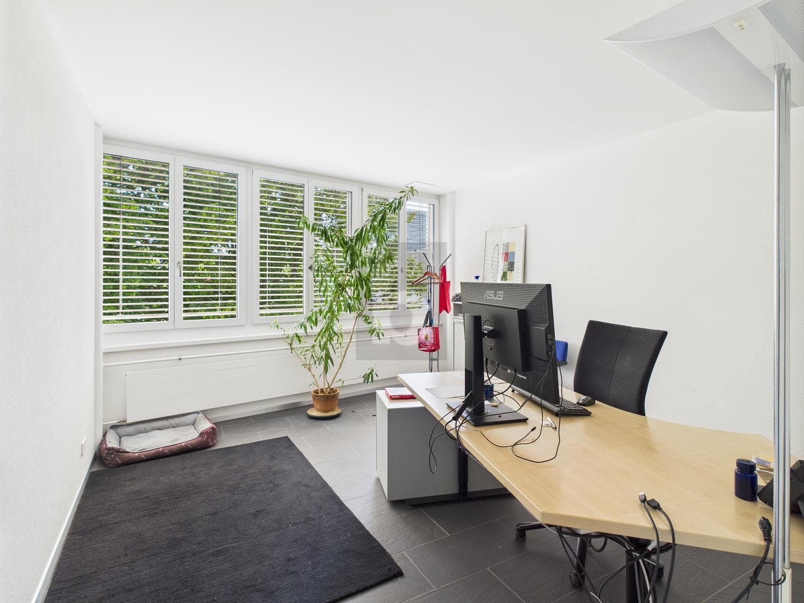 Büro in 8304 Wallisellen, 86m²