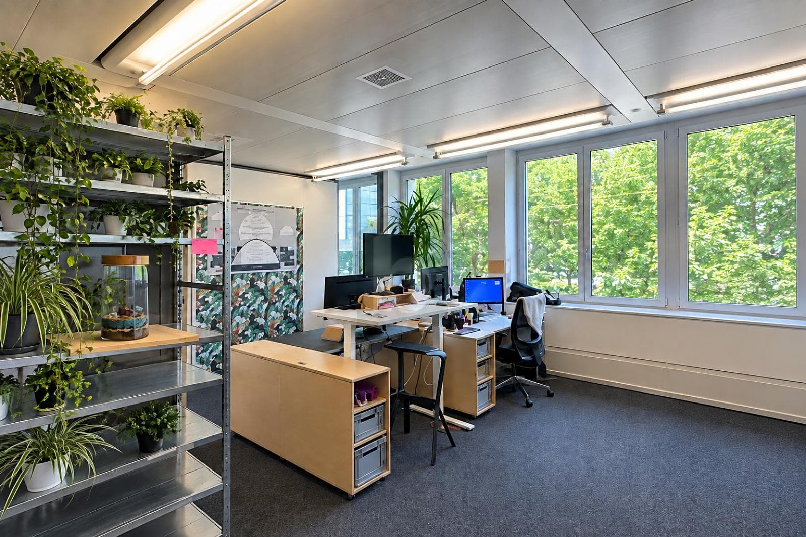 Büro in 8045 Zürich, 261m²