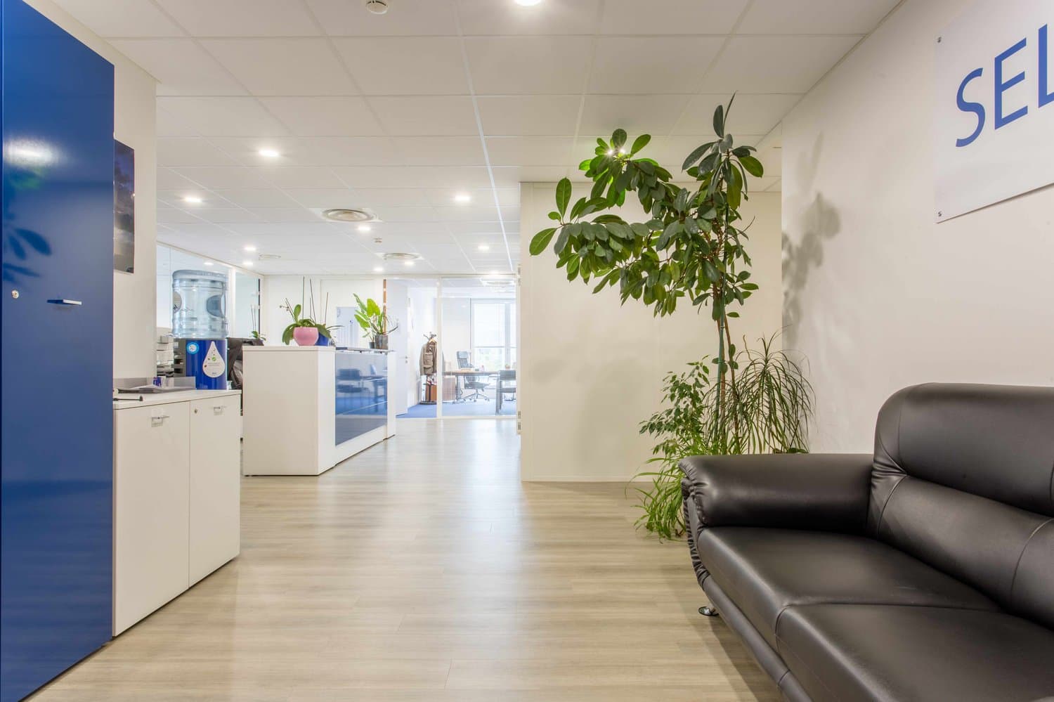 Espace commercial au Chemin des Aulx 14, 1228 Plan-les-Ouates